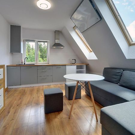 Mega Widok Apartment Шклярска Поремба Екстериор снимка