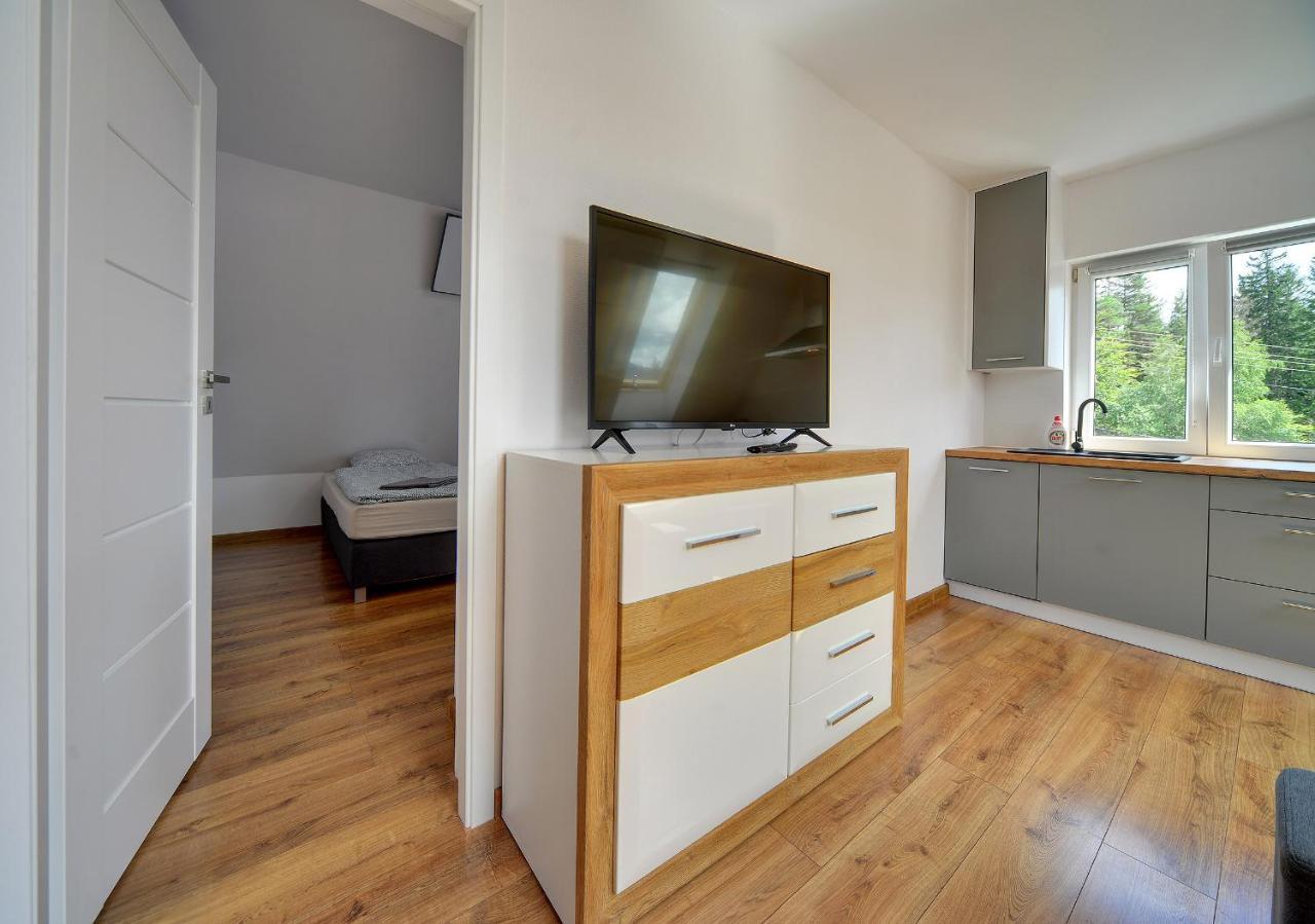 Mega Widok Apartment Шклярска Поремба Екстериор снимка