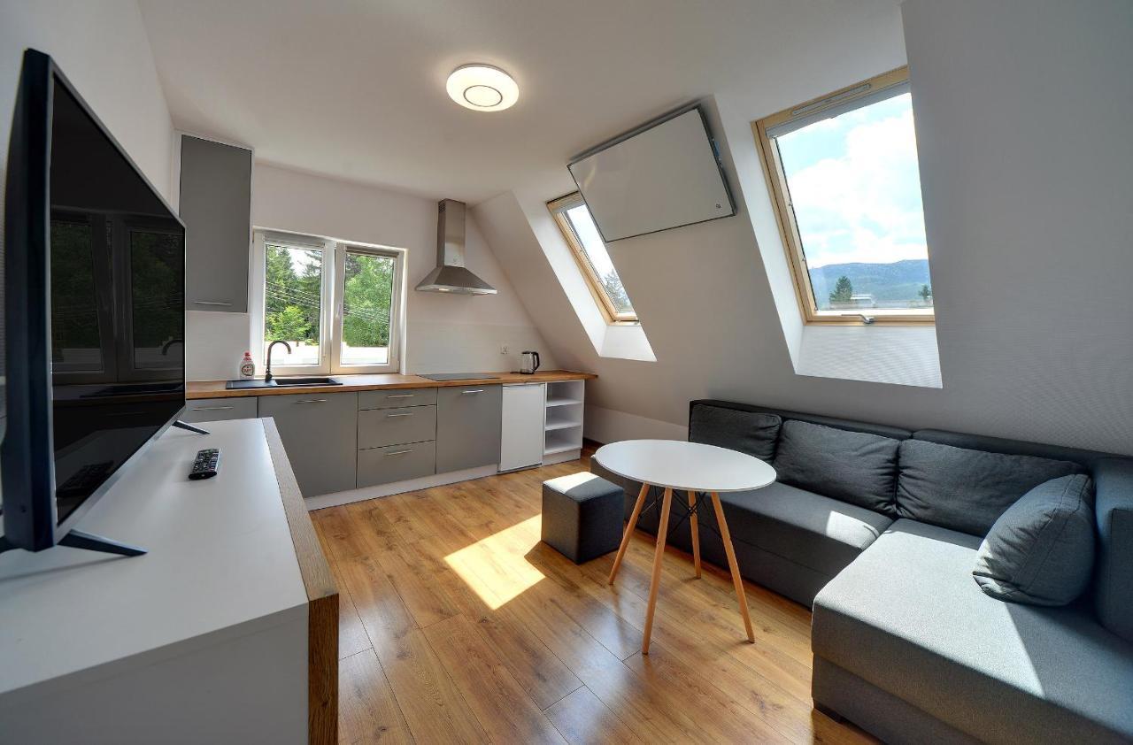 Mega Widok Apartment Шклярска Поремба Екстериор снимка